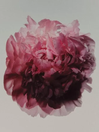 (100 ml) Eau de Parfum Peony Intense